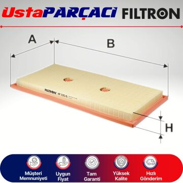 Filtron Hava Filtresi AP035/6 2760940004
