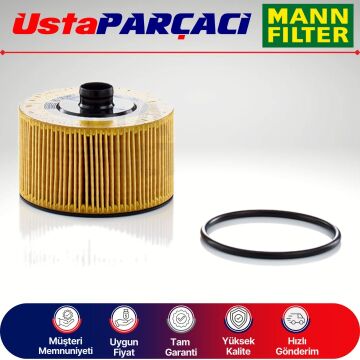 Mann-Filter Yağ Filtresi HU10002Z 152095084R
