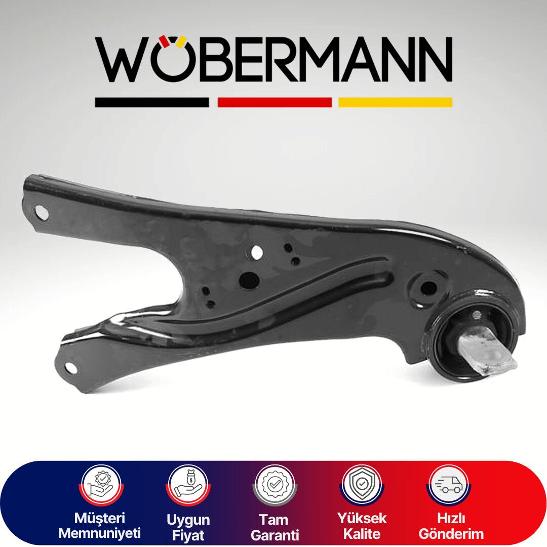 Wöbermann Lexus Rx 350 2008/2015 Denge Kolu Sağ Arka 487600E050