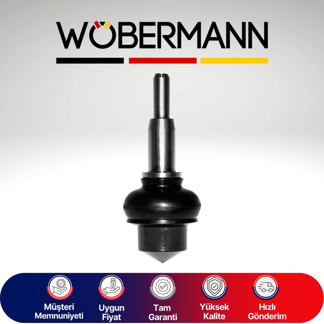 Wöbermann Rover 100-Austin Metro Rotil FAM9594