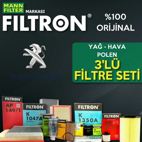 Filtron Peugeot 308 1.6 E-Hdi Filtre Bakım Seti 2014-2017 3NP