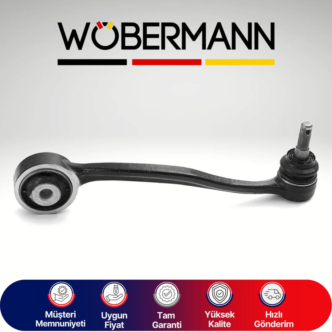 Wöbermann Hyundai Equus 2015-2017 Sağ Rotilli Kol 544013T050
