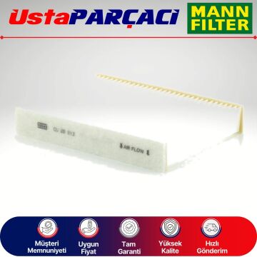 Mann-Filter Polen Filtresi CU20013 B000975480