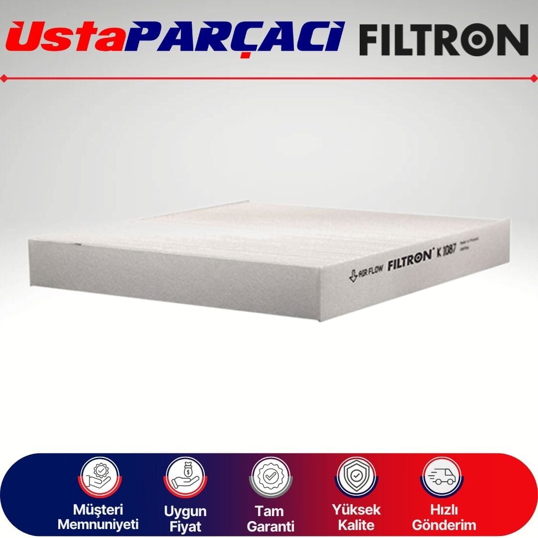 Filtron Standart Polen Filtresi K1087 80290ST3E01