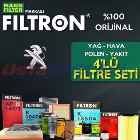 Filtron Peugeot 206 1.4 Hdi Filtre Bakım Seti 2002-2009 4NP
