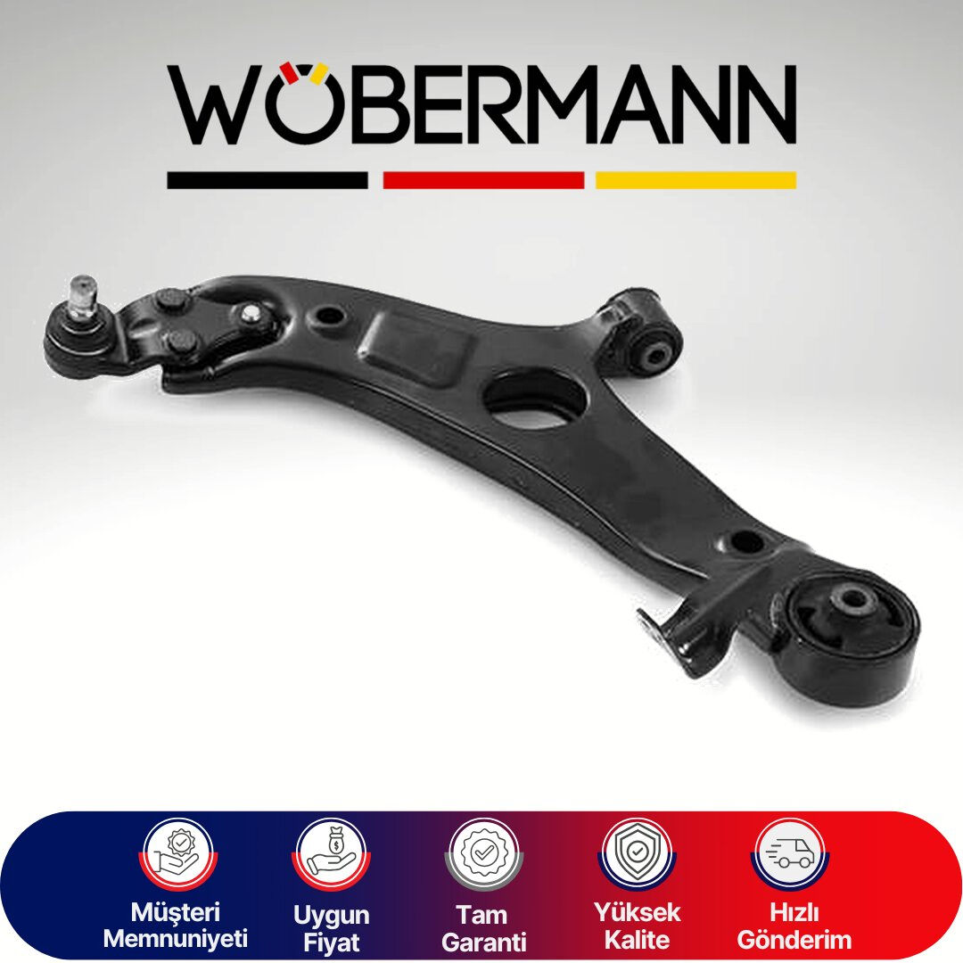 Wöbermann Hyundai Santa Fe 2007-2012-06 Salıncak Sol 545002P200