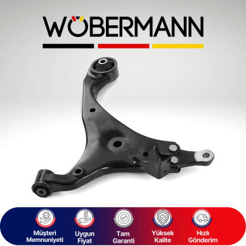Wöbermann Kia Carens 3 2006-> Salıncak Sağ 545012G001
