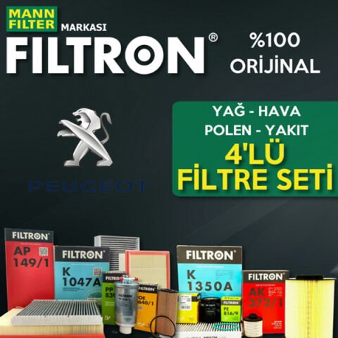 Filtron Peugeot 206 1.4 Benzin Filtre Bakım Seti 1998-2009 4NP