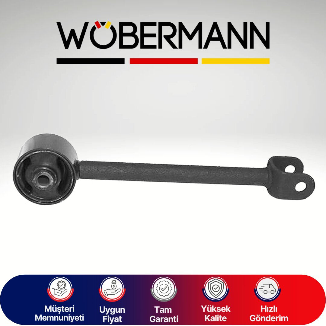 Wöbermann Hyundai Sonata 2006-2007 Denge Kolu Arka Sağ-Sol 552703K700
