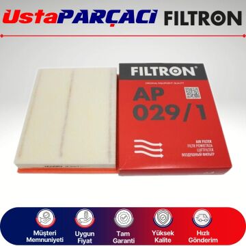 Filtron Hava Filtresi AP029/1 13717798342