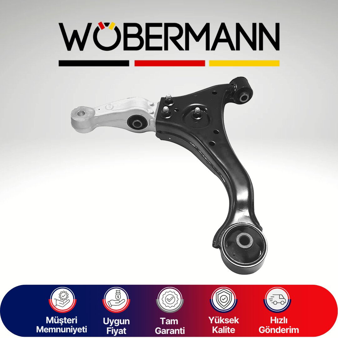 Wöbermann Hyundai Sonata 5 Salıncak Sol 545003K110